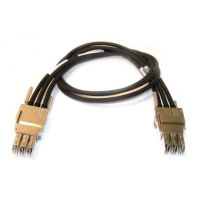 Logo Cable de stack 100cm pour c3850 stack-t1-1m