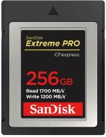 Logo Sandisk, produit r�f�rence : 183594