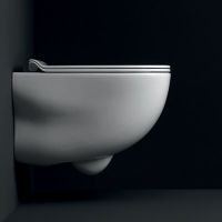 Logo Wc suspendu wild - wwl3060