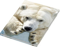 Logo Rnk verlag carnet de notes 'ours polaire', a5, quadrill 6530419