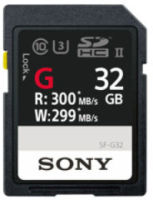 Logo Sdhc professional sf32g