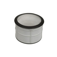 Logo Filtre apres moteur hepa dyson 137.437