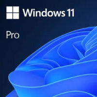 Logo Ms esd windows professional 11 64-bit all languages online product key license 1 license downloadable esd nr 4476170