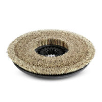 Logo Disques-brosses complet nature 527.799