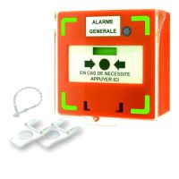 Logo Dm orange 3 contacts led buz rcp310or