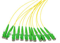 Logo Queue de cochon fibre e2000 ? 50/125�? om4, 2m o0791.2