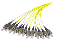 Logo Queue de cochon fibre fc/pc 9/125�? os2, 2m, o1133.2