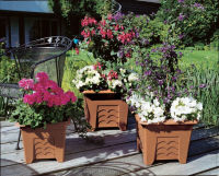Logo Potic bac  fleurs terra grande, 600 x 600 mm, terracotta 6461368