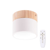 Logo Plafonnier led 9w 852lm t�l�commande (luminosit�-cct) 10.000h [ho-cct-dl9w]