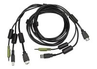 Logo 1-dvi-d/1-hdmi/1-usb/1-aud cbl0162