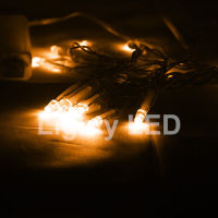 Logo Lot de 10 guirlandes 30 led ambre sur piles llg005x10