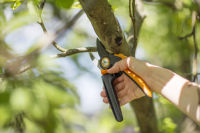 Logo Fiskars scateur powergear x  crmaillre px92 m  lame 60000463