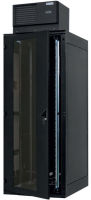 Logo Triton baie rseau 19' rde, 42 u, gris clair ral 7035 11190990
