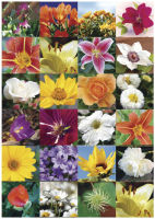 Logo Herma sticker decor 'blumenreich' 6503514