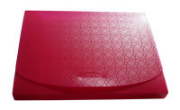 Logo Dataplus bote de classement trend, pp, a4, vernis fuchsia 5227648