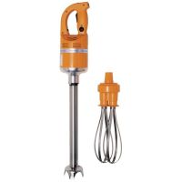 Logo Mixeur plongeant professionnel avec fouet dynamic master combi mf002uk.h cn225