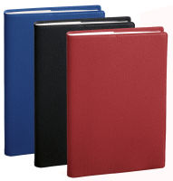 Logo Quo vadis agenda 'prsident', 210 x 270 mm, 2025, assorti 57000375