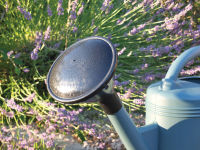 Logo Po�tic pomme d'arrosage de rechange pour arrosoir de 11 l 6461789