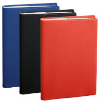 Logo Quo vadis agenda scolaire 'eu 09/09' impala, 2024/2025, noir 57000041