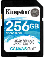 Logo Carte sdxc canvas go 256 gb ki-0045