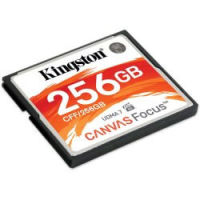 Logo Carte m�moire compact flash 256 go ki-0018