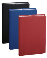 Logo Quo vadis agenda prsident s, 210 x 270 mm, 2025, assorti 57001057