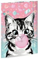 Logo Rnk verlag carton  dessin 'sweet cat', carton, a3 6530594