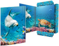 Logo Rnk verlag carton  dessin 'dauphin', carton, a3 6530591