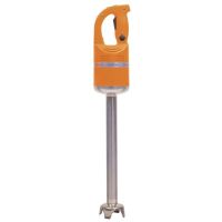 Logo Mixeur plongeant dynamic master mx004uk cf012