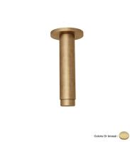 Logo Raccord plafond pour pomme de douche or bross� hydrotherapie - pd41696p or bross�
