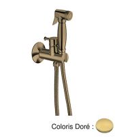 Logo Kit wc mitigeur ec-ef encastre dore hydrotherapie - wj67752 dor?