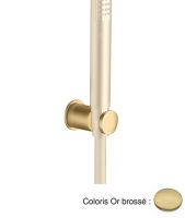 Logo Support douchette rond mural pvd or brosse hydrotherapie - pd44996p or bross?