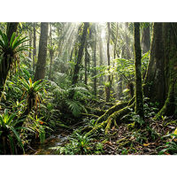 Logo Hp elitebook x g2i ai intel core ultra x7 358h 14p wuxga 32go lpddr5x 512go ssd be+bt 3c batt fps uma w11p ng prm 1yr wrty 48314