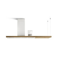 Logo Bio island blanc et bois de ch�ne - hotte en �lot elica bio island