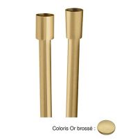 Logo Flexible  or brosse pvd hydrotherapie - pd05196p or bross?