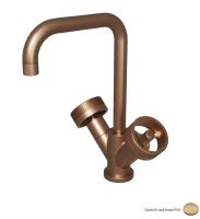 Logo Melangeur monotrou rota or rose brosse rota - rt22634p or rose bross?