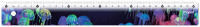 Logo Maped r�gle plate deepsea paradise, 300 mm, en plastique 82245012