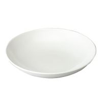 Logo Assiettes � p�tes blanches churchill evolve 248mm (lot de 12) eu712