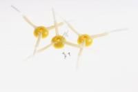 Logo Pack 3 brosses latrales f232458