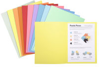 Logo Fin de s�rie: exacompta chemises super 250, couleurs assorti 15964