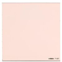 Logo Filter p697 diffuser wp1r697