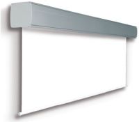 Logo Ecran projecta giantscreen 10130770