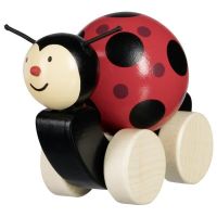 Logo Coccinelle  pousser filie 54946