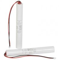 Logo Batterie accumulateur ni-cd pour maintenance baes d'ambiance ip 66 eco 1 061093