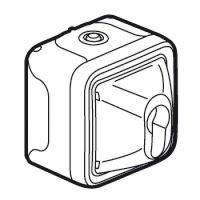 Logo Inter � cl� prog plexo complet saillie gris pour barillet europ�en - 10 a - 250v 069706