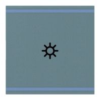 Logo Manette espace evolution myhome bus - symbole lumi�re - 2 modules - magn�sium 64385