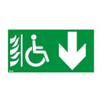 Logo Etiquettes d'vacuation adhsives baes-espace d'attente scuris+flche bas 061205