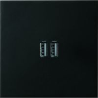 Logo Art d'arnould - epure - chargeur double usb 1500 ma - noir mat 67822
