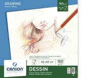 Logo Canson papier  dessin dessin, 160 g/m2, 500 x 650 mm, blanc 5297722