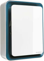 Logo Supra, produit r�f�rence : zitto bleu canard
